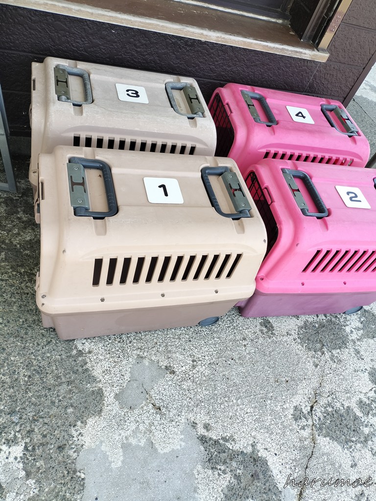 ペット用ケージ