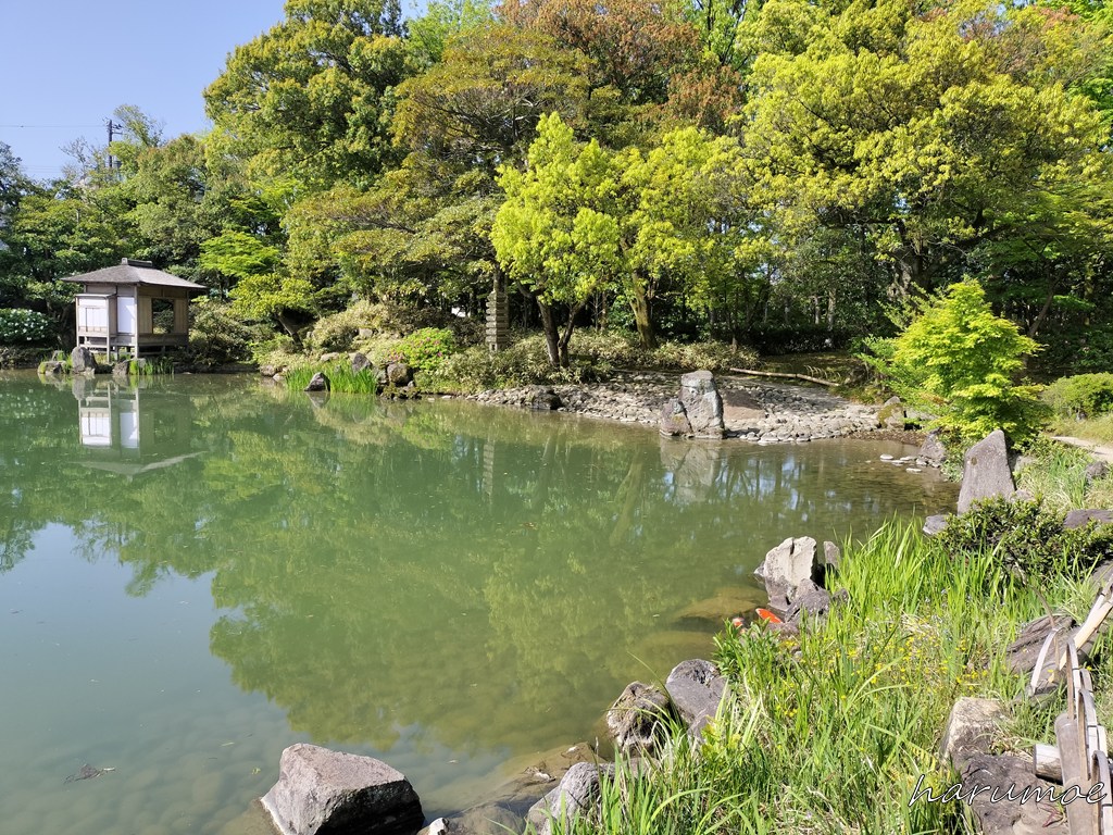 養浩館庭園の池