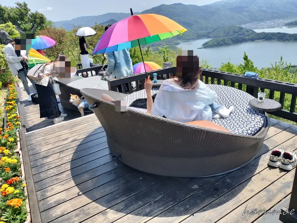 五胡テラス